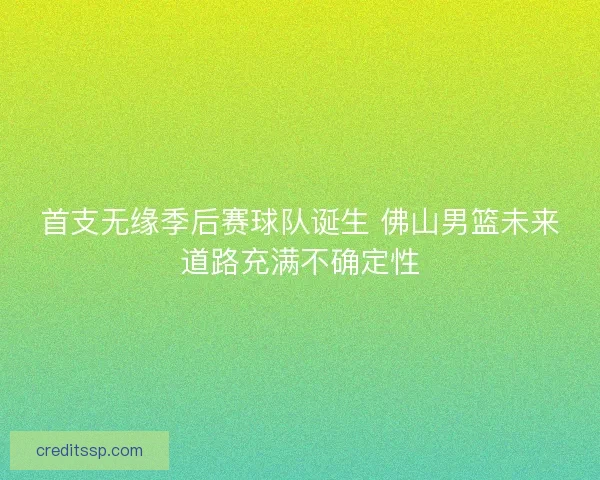 首支无缘季后赛球队诞生 佛山男篮未来道路充满不确定性