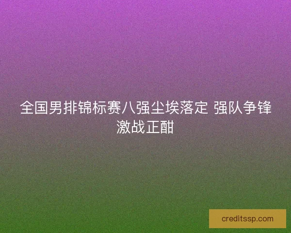 全国男排锦标赛八强尘埃落定 强队争锋激战正酣